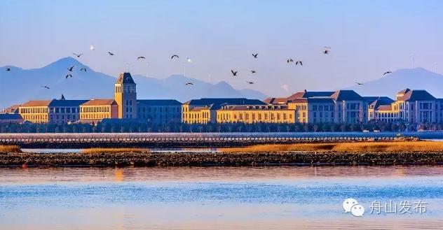 年轻人为什么要去杭州,舟山生活感受