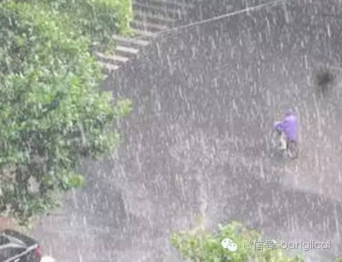 不会投资黄金的水手不是好股民