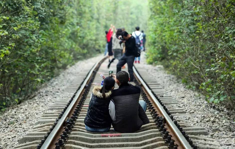 为什么别人说你是文艺青年,为什么文艺青年让人反感
