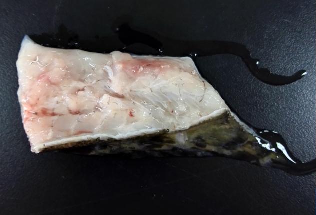 求助|饵料足、管理好，吃食等和正常石斑鱼无异，为什么我的石斑鱼就瘦如柴呢？