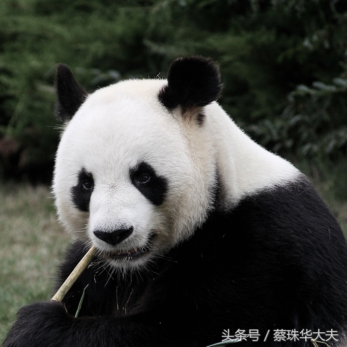 医生最讨厌的4种人,医生最讨厌的几种病人