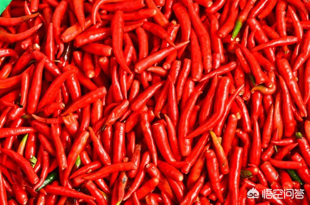 农村俗语“葱辣鼻，蒜辣心，辣椒辣嘴唇”，你知道它的意思吗