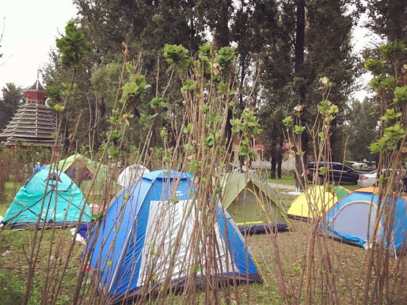 996闇茶惀,鍗冧汉闇茶惀澶т細