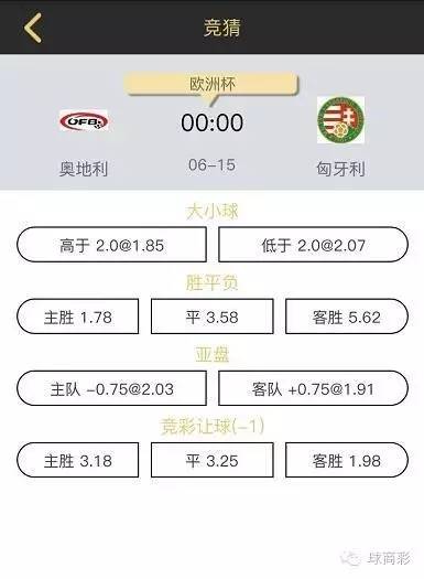 奥地利与匈牙利原先是一个国家吗,奥地利和匈牙利是奥匈帝国吗
