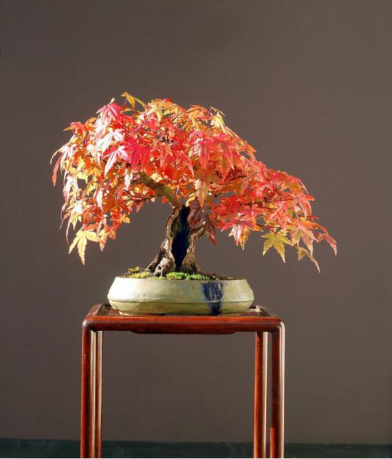 家里软装饰品推荐,装修必配的软装物件