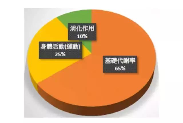 怎样摆脱皮包骨,讲通俗易懂的饮食健康知识