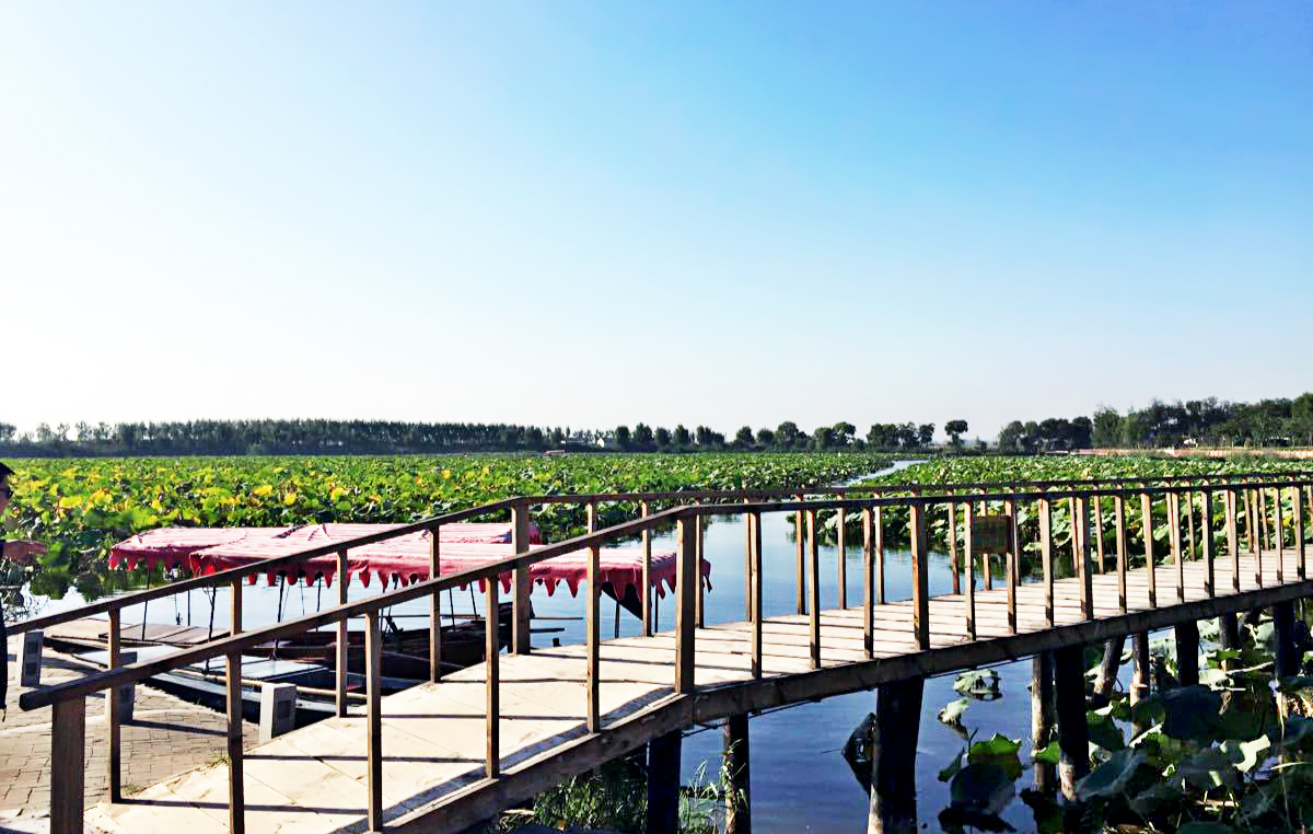 保定十大臭名景点排名,保定必去的十大旅游地