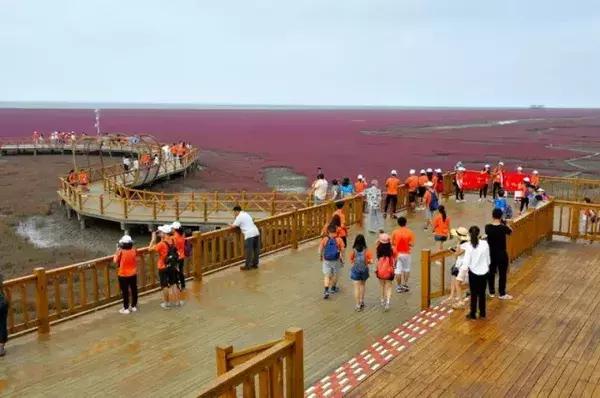 “印象辽宁梦想中国”暑期实践专项活动盘锦出征