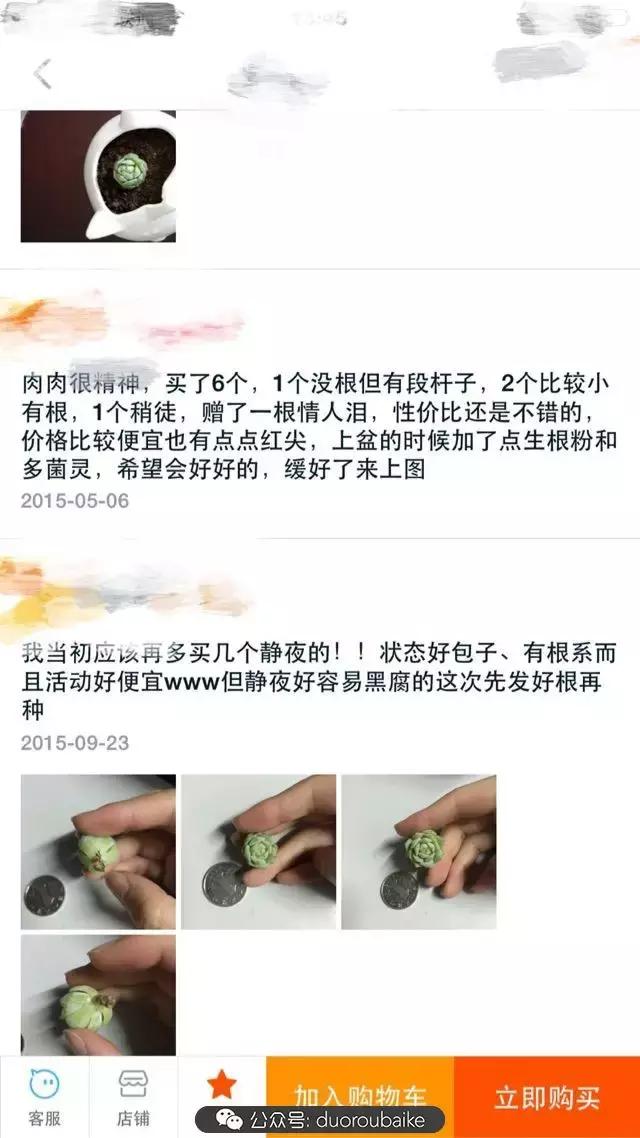 买多肉的3个雷区,某宝买的植物