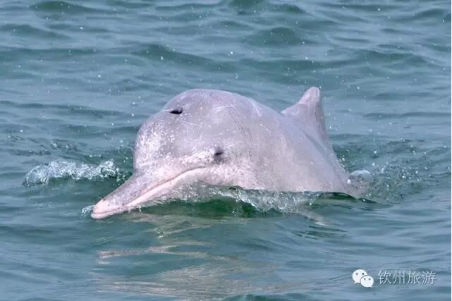 北部湾旅游,北部湾旅游攻略自由行