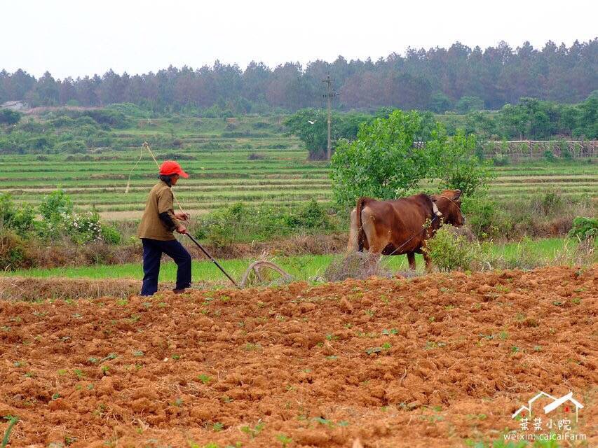 哪里适合隐居过田园生活,唯美的田园隐居生活
