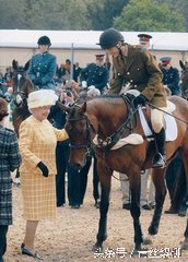 奥运会抢西瓜,奥运会拿西瓜