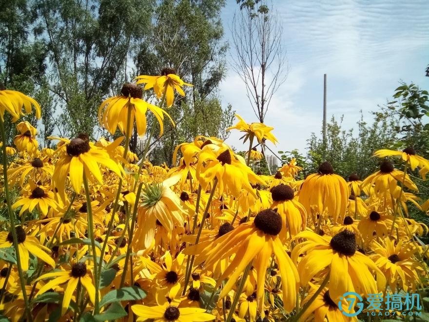 魅蓝3S有什么功能,魅蓝3s测评