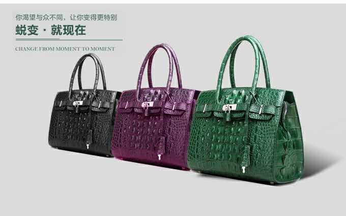 怪才小龙陈星,怪才小龙的歌