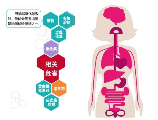 地沟油对人体的危害有哪些,给孩子买地沟油的危害