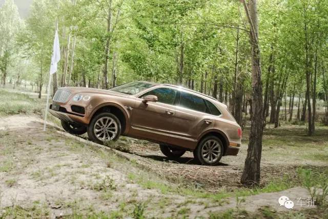 十大最贵suv排行榜宾利,试驾最贵suv宾利添越