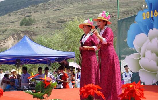 湟中美食节,西宁湟中美食节