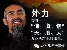 专业生鲜电商,当当、国美和苏宁喊你一起折腾!