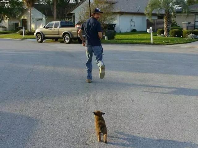 自行车骑行西藏遇狗,骑车被狗追怎么办