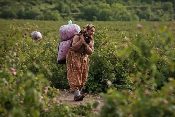 日韩化妆品都有哪些,日韩化妆品推荐