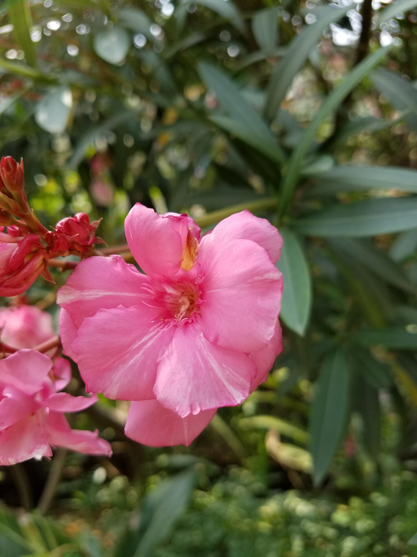 乐2pro评测视频,乐2pro入门级