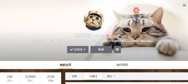 自媒体大事件,网红大v的猫狗