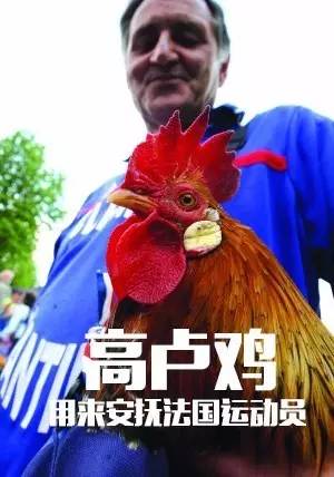 本届巴西奥组委:谁能帮我海淘只熊猫?