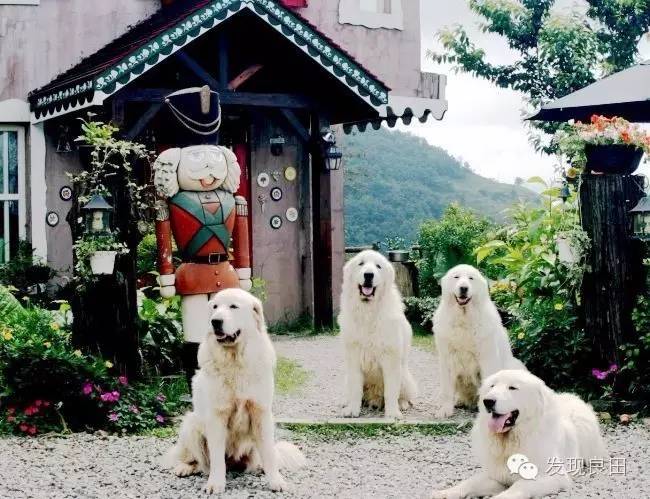 台湾第一民宿聚集地系列四：那些特殊民宿