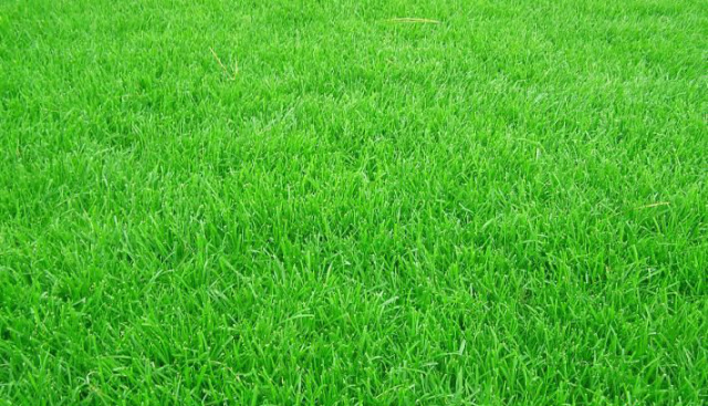 足球鞋不在草地上踢选哪个,踢一次足球选鞋