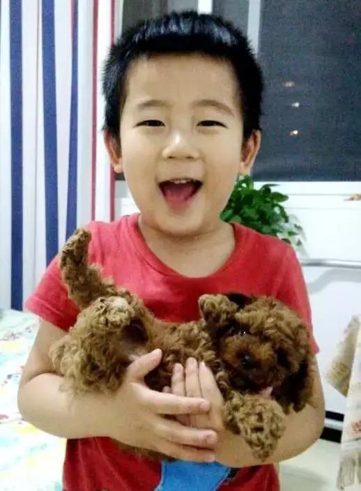 小孩子洗头大哭,孩子洗头大哭是什么原因