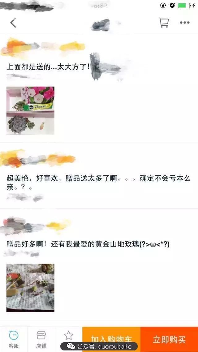 买多肉的3个雷区,某宝买的植物