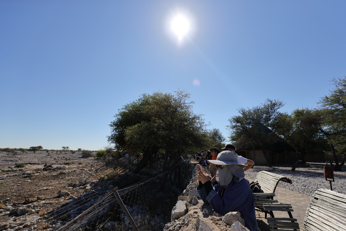 猎豹狂奔与狮子对敌,猎豹奔跑高清震撼视频