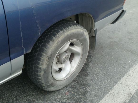 “射鸡”历险记打鸡血然后。