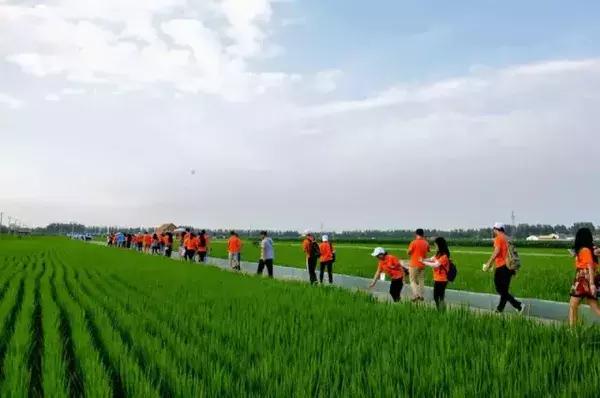 “印象辽宁梦想中国”暑期实践专项活动盘锦出征