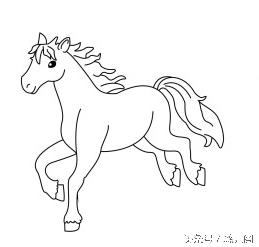 羊狗虎今日财运运势,8月2日虎生肖运势