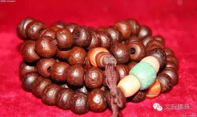 尼泊尔当地的凤眼贵吗,尼泊尔凤眼和国内凤眼颜色区别