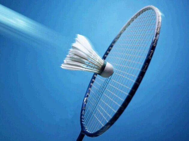 羽毛球拍最好的十大品牌,羽毛球拍最好的牌子排名