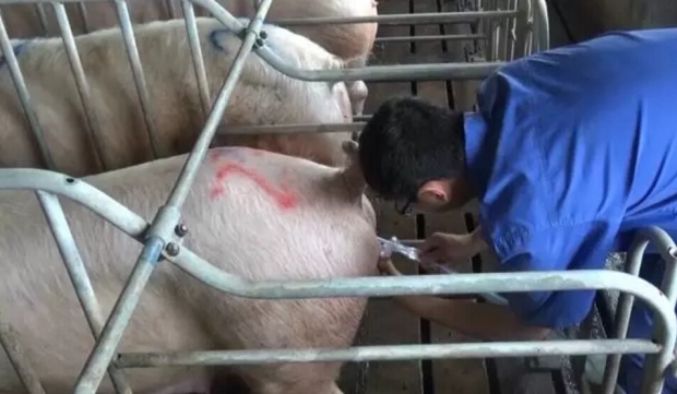 深宫输精“8字”决，好记！