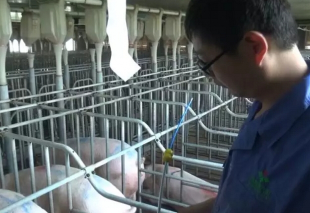 深宫输精“8字”决，好记！