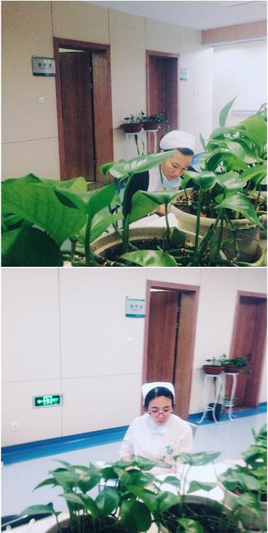 乡村医生的摄影作品,摄影作品乡村医生