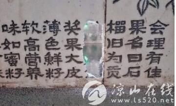 凉山会理:81块文化石碑遭破坏重新修复估算需花费40万元案件已告破,犯罪嫌疑人为精神分裂症患者