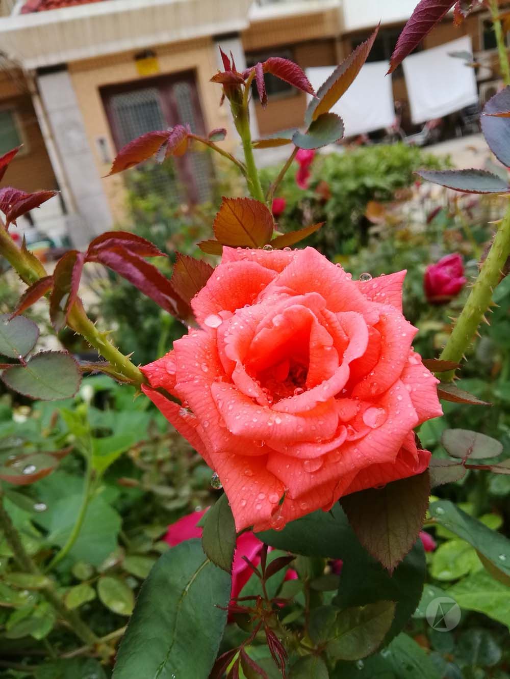 荣耀note8介绍,荣耀note8测评