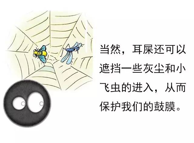 酱紫的蛙|第三集：耳屎，挖还是不挖？