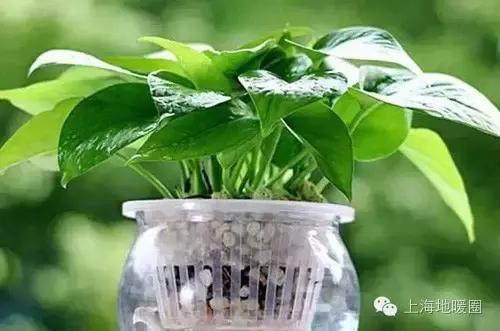 空调房里防干燥的窍门,缓解空调房干燥