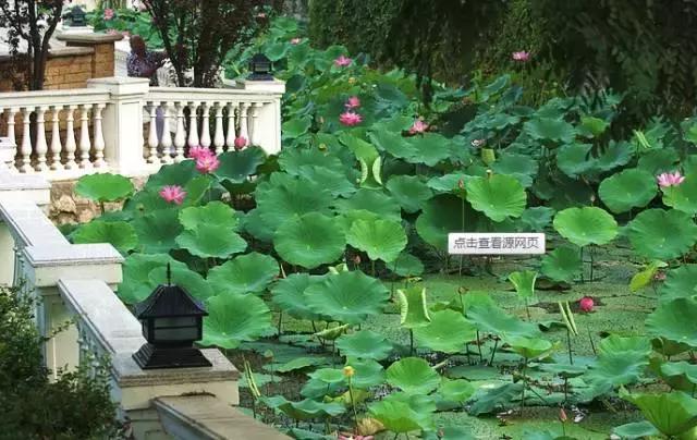 燕郊各小区二手房价格表,燕郊潮白星光公馆二手房最新价格