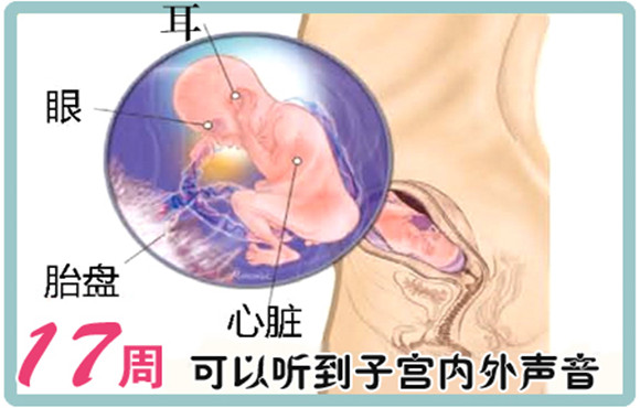 17周流产要注意事项,怀孕17周注意事项有哪些