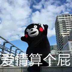 里约奥运会开幕式小李子,小李子里约