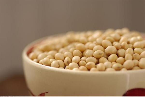 长期吃大豆多肽的好处,大豆多肽营养饮料