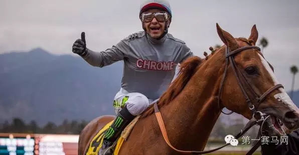 世界马匹最新排名出炉,“荣进之光”三度蝉联榜首