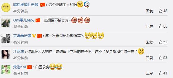 陈赫宠物狗,陈赫晒萌宠照片狗狗名字太霸气